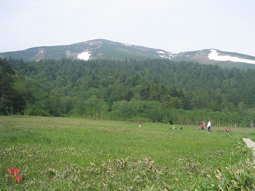 oze09.jpg(79418 byte)