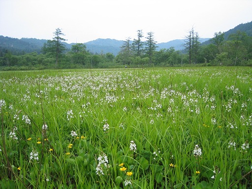 oze19.jpg(99373 byte)