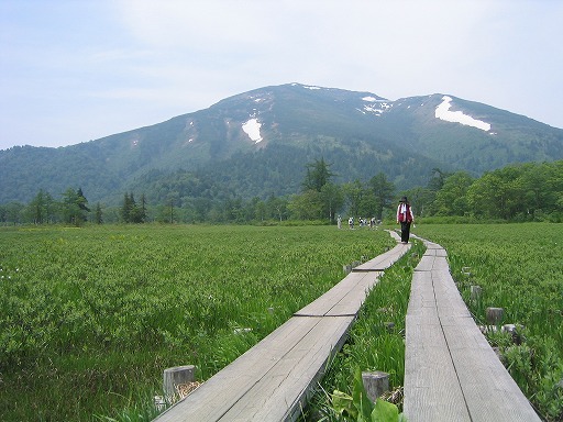 oze31.jpg(74987 byte)