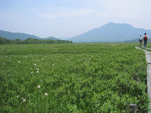 oze35.jpg(87955 byte)