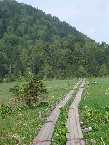 oze43.jpg(98724 byte)