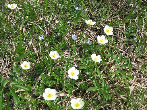 oze44.jpg(148886 byte)