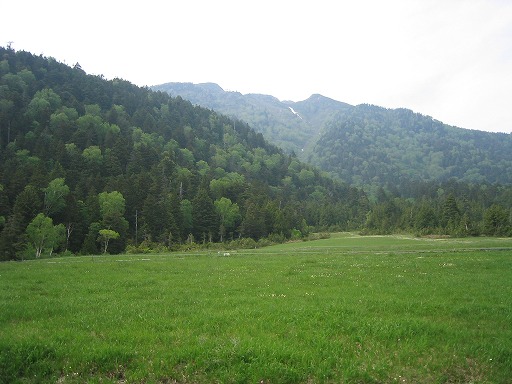 oze49.jpg(64972 byte)