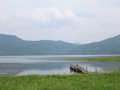 oze52.jpg(48586 byte)