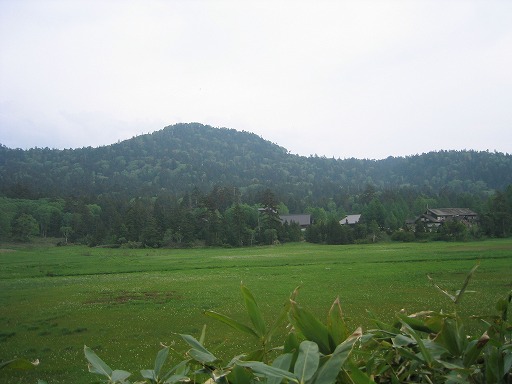 oze59.jpg(48752 byte)