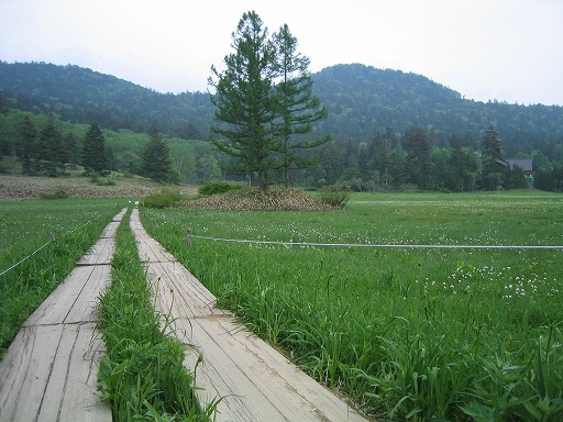 oze62.jpg(81130 byte)