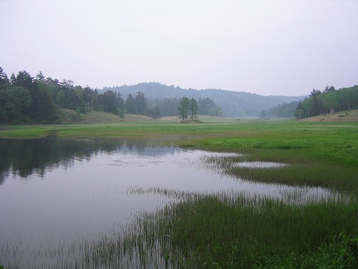 oze73.jpg(45618 byte)