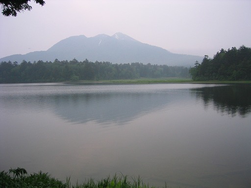 oze75.jpg(33305 byte)