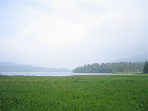 oze86.jpg(37231 byte)