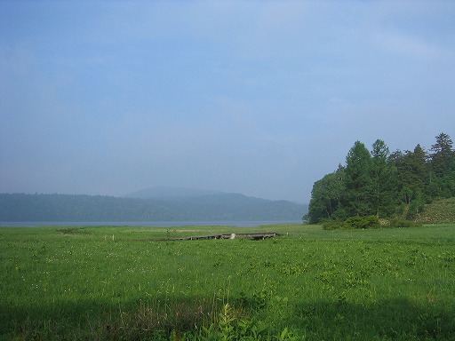 oze88.jpg(49271 byte)