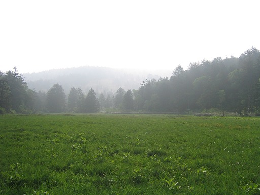 oze91.jpg(50878 byte)